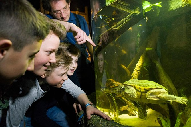 SEA LIFE Munich Admission Ticket - Aquarium habitats you’ll actually recognize: Danube Delta to the Atlantic