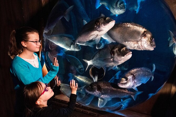 SEA LIFE Speyer Admission Ticket - Quick Reality Check: What This Timed SEA LIFE Ticket Really Is
