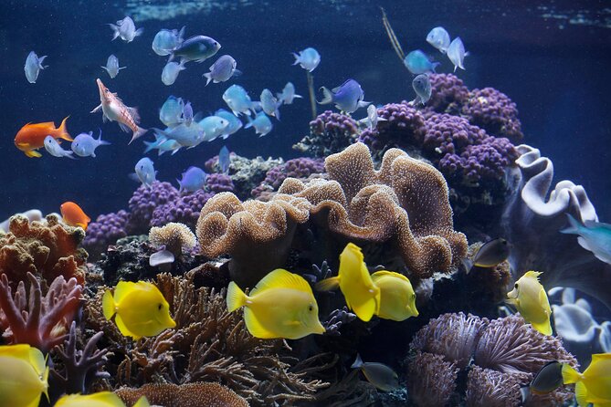 SEA LIFE Speyer Admission Ticket - Getting There at Im Hafenbecken 5 and Picking Your Entry Slot
