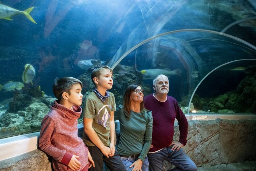 Sea Life Speyer Ticket - European Pond Turtles Outdoors, Emys, and Protection