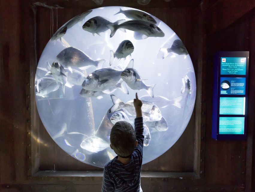 Sea Life Speyer Ticket - Price and value: Is $22 worth it?