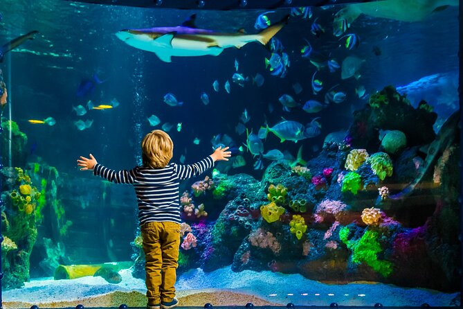 SEA LIFE Timmendorfer Strand Admission Ticket - Entering SEA LIFE at Kurpromenade 5, right by the water