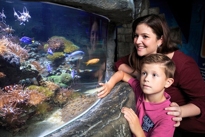 SEA LIFE Timmendorfer Strand Admission Ticket - Price and value: what about $20.43 buys you