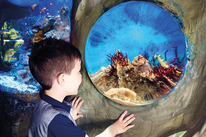 SEA LIFE Timmendorfer Strand Admission Ticket - Families and all-weather planning, plus the rules that affect your comfort