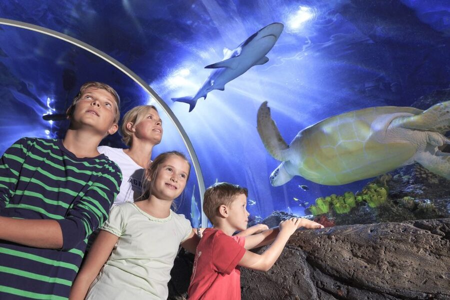 SEA LIFE Timmendorfer Strand Ticket - Key takeaways before you go