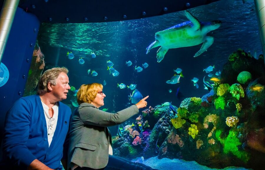 SEA LIFE Timmendorfer Strand Ticket - SEA LIFE Timmendorfer Strand in one picture
