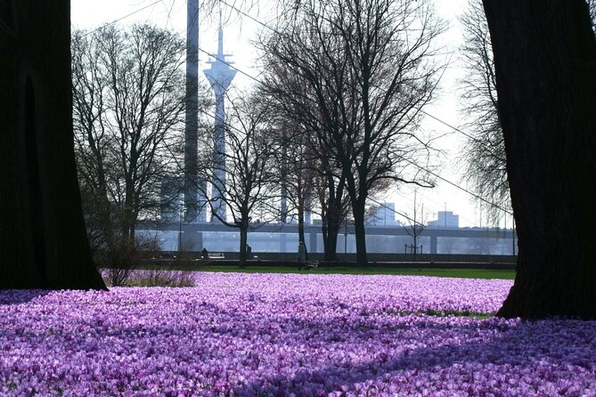 Sightrunning - Private Running Tour in Düsseldorf - Rheinuferpromenade, Stadtstrand, and Kasematten: Finishing With Purpose