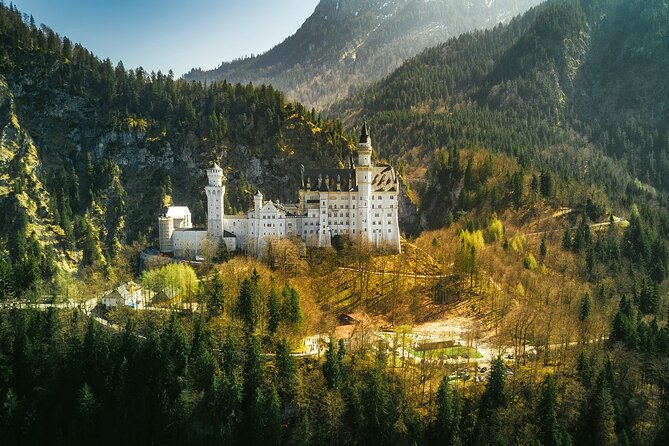Skip The Line Neuschwanstein Castle Tour from Hohenschwangau - The downhill payoff: horse carriage when it’s running