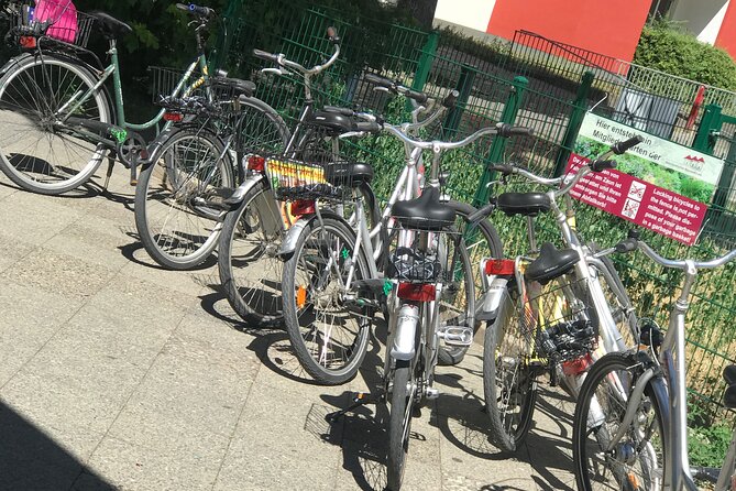 Small-Group Historical Bike Tour in Berlin - Oranienburgerstraße and the Jewish New Synagogue Context
