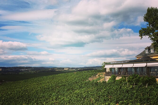 Small Group Rheingau Vineyards Tour with Castles and Abbeys - Why This Rheingau Wine Day Feels Worth the Cost