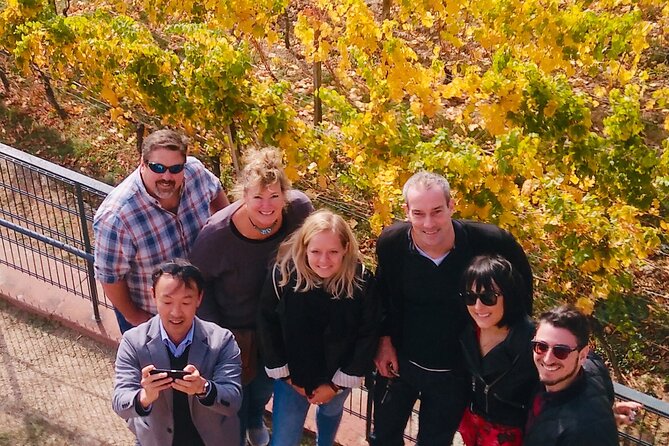 Small Group Rheingau Vineyards Tour with Castles and Abbeys - A Quick Look at Johannisberg Palace by the Rhine