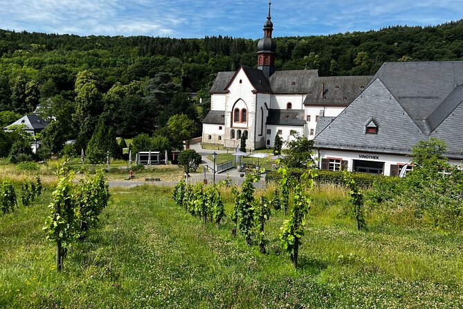 Small Group Rheingau Vineyards Tour with Castles and Abbeys - RheinWeinWelt Rüdesheim, Lunch With a Tasting Room Twist