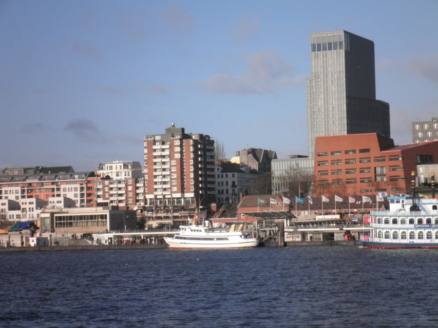 St. Michael’s, Elbe Tunnel & Harbor 2-Hour Hamburg Tour - Key moments you should care about