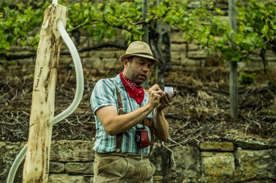 Stuttgart: Guided Vineyards Tour - Key Things You’ll Notice on This Stuttgart Vineyards Tour