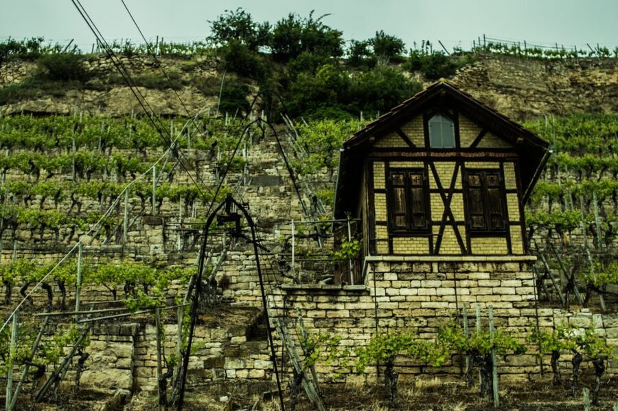 Stuttgart: Guided Vineyards Tour - Who This Tour Suits Best (And Who Should Rethink It)