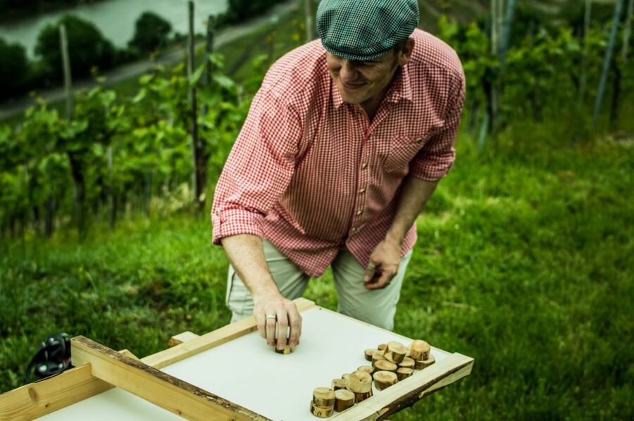 Stuttgart: Guided Vineyards Tour - Five Wines, One Clear Mission: Learn What You’re Drinking