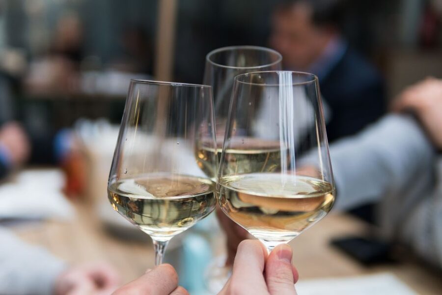 Stuttgart: Guided Vineyards Tour - Wine Games: Why They Matter for the Overall Experience