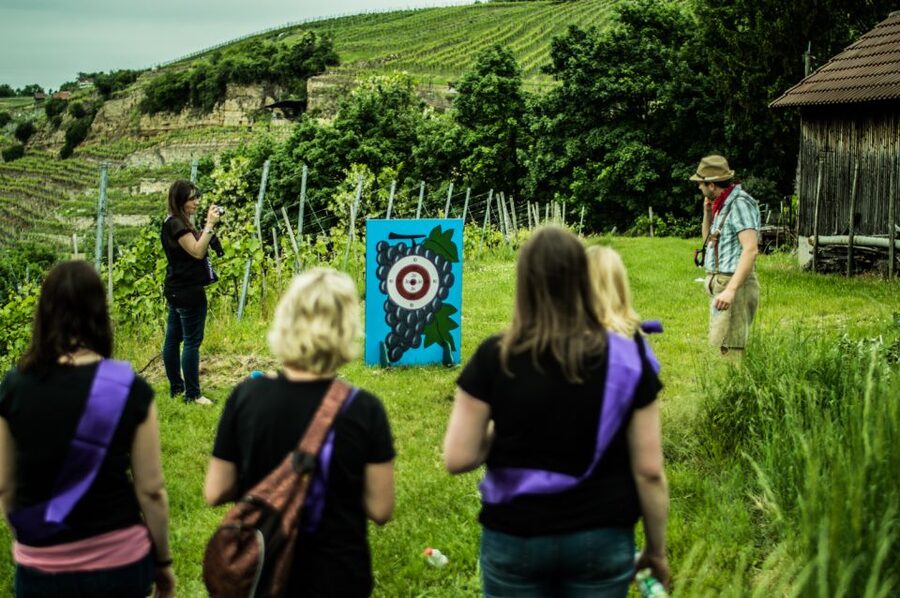 Stuttgart: Guided Vineyards Tour - What’s Included, and What You Should Plan to Bring