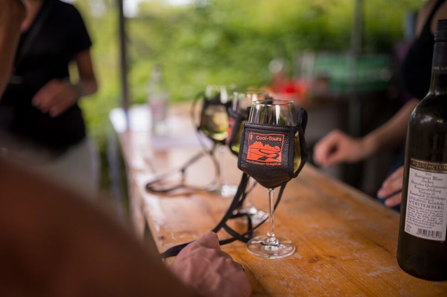 Stuttgart: Guided Vineyards Tour - Price and Value: $800 Per Group Up to 15