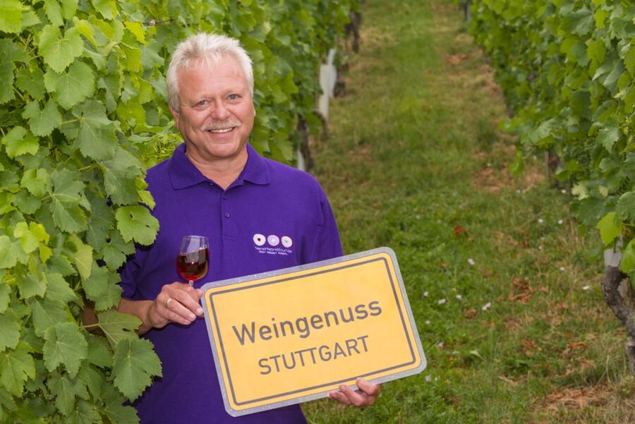 Stuttgart: Guided Wine Walk & Wine Tasting - Key highlights you’ll actually care about