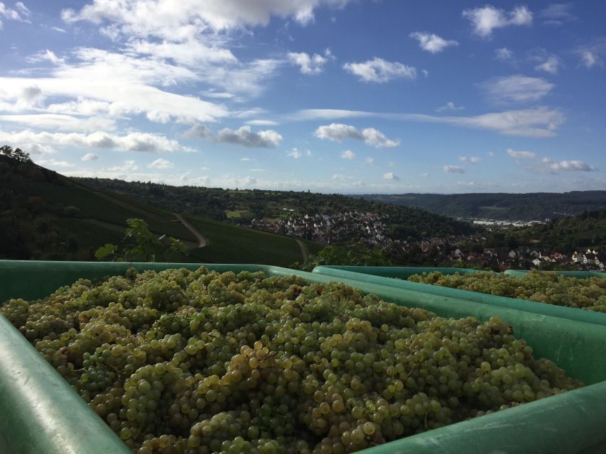 Stuttgart: Guided Wine Walk & Wine Tasting - Scenic lookout points and historical paths: the part people remember