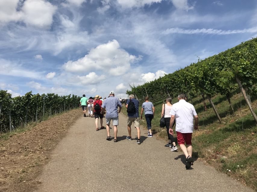 Stuttgart: Guided Wine Walk & Wine Tasting - Price and value: is $50 fair for 150 minutes and two tastings?