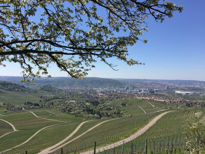 Stuttgart: Guided Wine Walk & Wine Tasting - What to bring (and what to avoid) so the day stays smooth