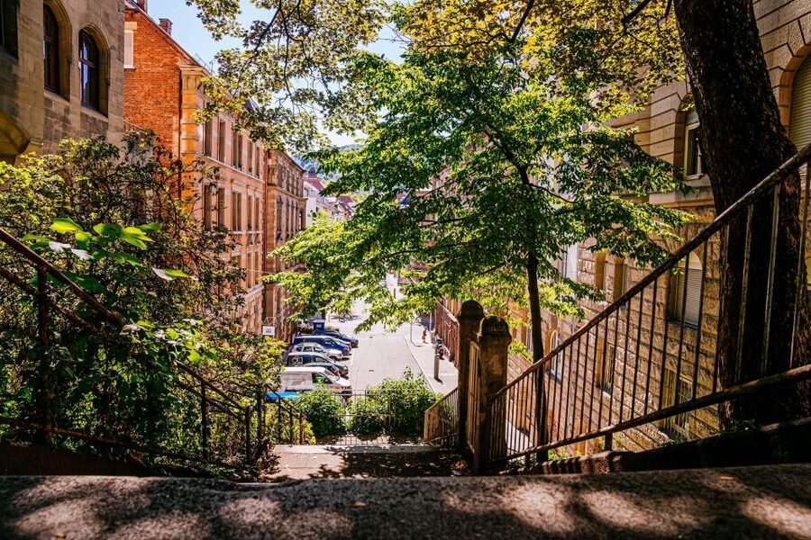Stuttgart: Stäffele Guided Walking Tour - Tour North: half-height neighborhoods, gardens, towers, and a vineyard walk