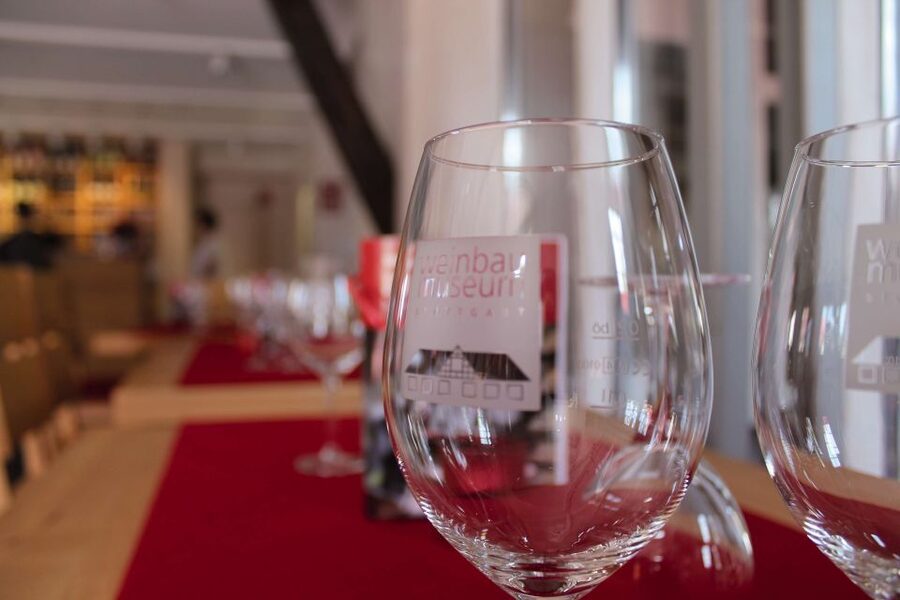 Stuttgart: Stuttgart Wine Museum Wine Tasting - How the Tasting Works: Meet Your Wine Expert and Start Sampling
