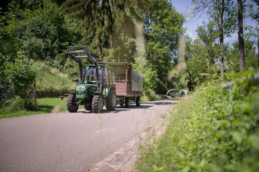 Stuttgart: Vineyard Tour by Covered Wagon - Meet at Riverhouse, Then Roll Through Münster