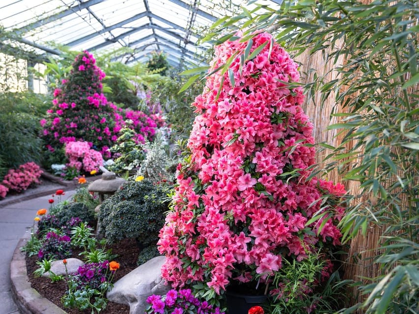 Stuttgart: Wilhelma Zoological-Botanical Garden Ticket - Historical Greenhouse Row: Orchids, Palms, and Seasonal Displays