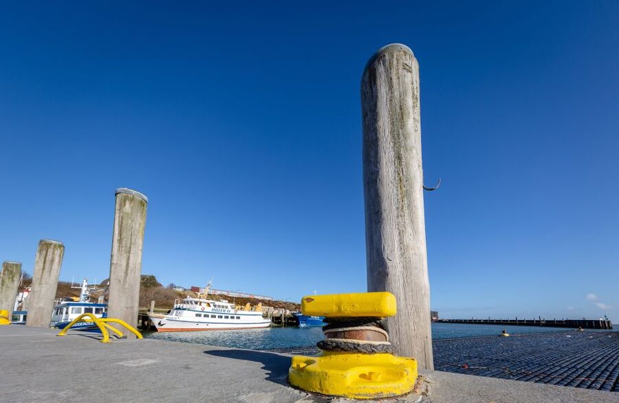 Sylt: Guided Island Tour by Bus with Sylt Highlights - Westerland ZOB, a 3-hour plan, and how this tour fits your day