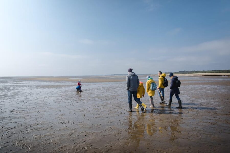 Sylt: Guided Mudflat Hike on the Island - Sylt mudflats inside Schleswig-Holstein’s Wadden Sea National Park
