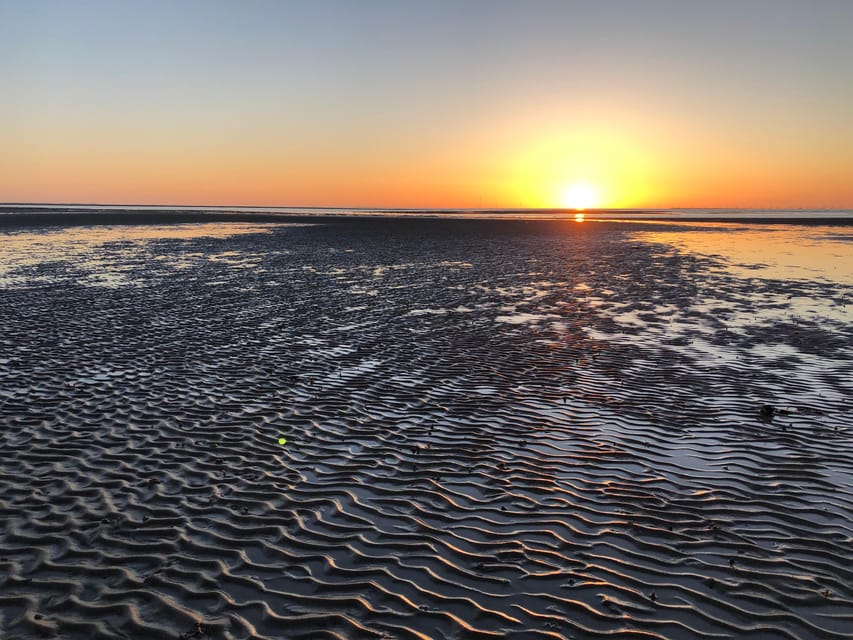 Sylt: Guided Mudflat Hike on the Island - Jan Krüger and the rhythm of the guided mudflat hike