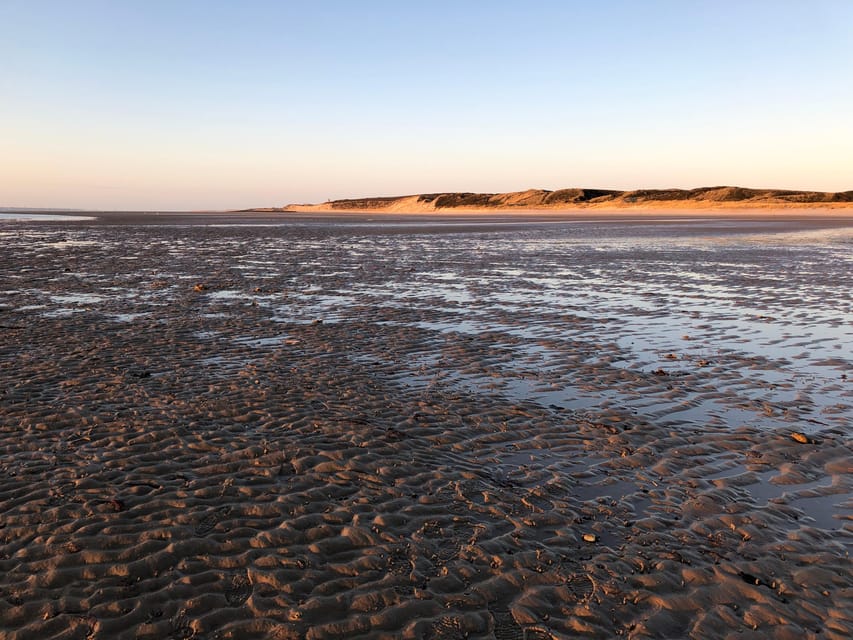 Sylt: Guided Mudflat Hike on the Island - Should you book this mudflat hike?