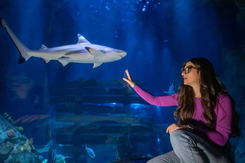 Ticket to SEA LIFE Konstanz - Key highlights that matter before you go