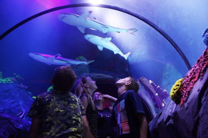 Ticket to SEA LIFE Konstanz - Should you book SEA LIFE Konstanz?