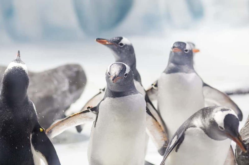 Ticket to SEA LIFE Konstanz - Konstanz Harbor location, transport tips, and where to start