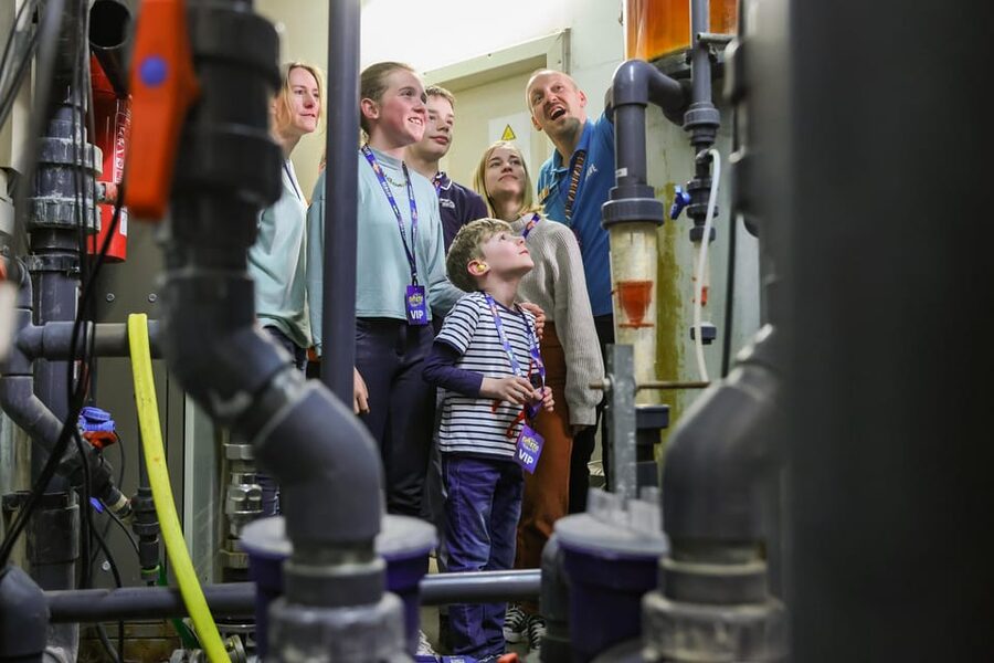 Timmendorfer Strand: SEA LIFE Behind the Scenes Tour - Practical details that can make or break your afternoon