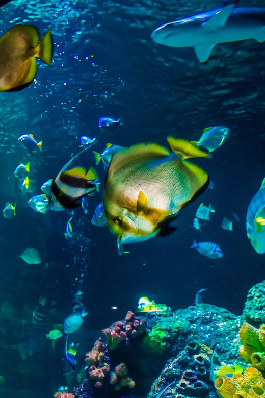 Timmendorfer Strand: SEA LIFE Behind the Scenes Tour - Where the tour starts: the Baltic Sea setting and your 60-minute warm-up