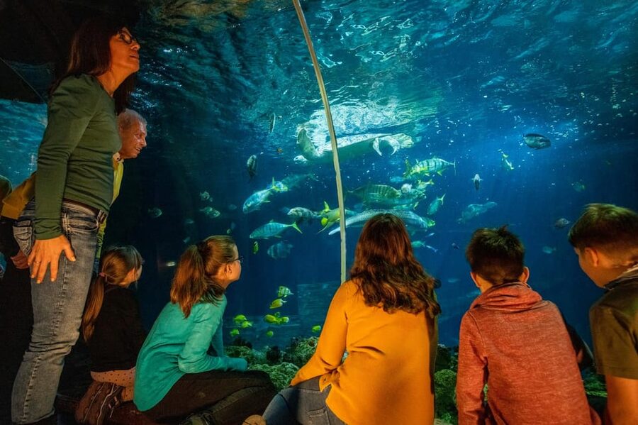 Timmendorfer Strand: SEA LIFE Behind the Scenes Tour - Guide quality and the small-group advantage