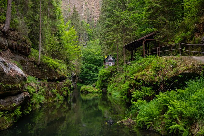 Top Full-Day Adventure: Bohemian & Saxon Switzerland from Dresden - Food and snacks that keep you actually comfortable