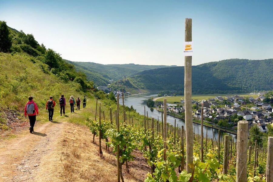 Traben-Trarbach / Bernkastel-Kues, Moselle: Wine experience hike - Boat to Kröv: The Moselle Part You Will Actually Feel