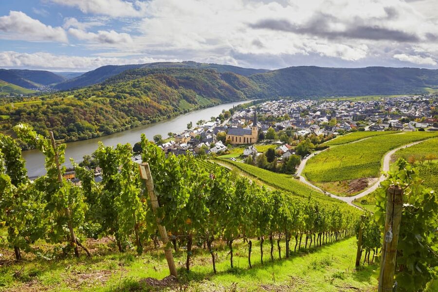 Traben-Trarbach / Bernkastel-Kues, Moselle: Wine experience hike - Ostrich Tavern Lunch: Tarte Flambée That Keeps the Day Honest