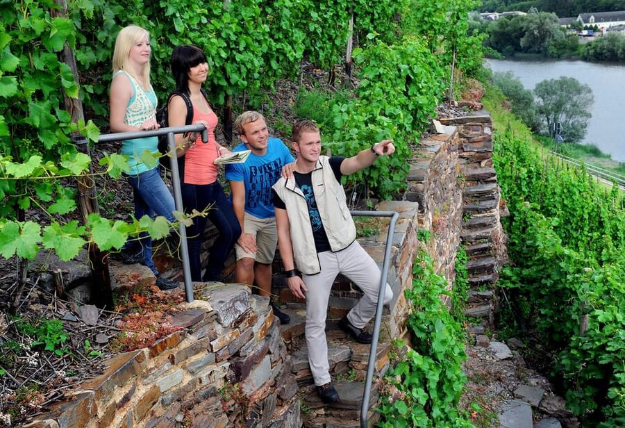 Traben-Trarbach / Bernkastel-Kues, Moselle: Wine experience hike - The Vineyard Walk With the Winegrower: What You Learn Matters