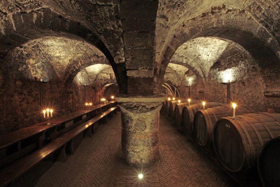 Trier: Discovery Tour – Germany's Oldest Wine Cellar - Key things you should know before you go