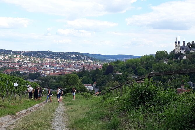 Wine rally in Würzburg with tasting - Rally stations in the vineyards: teamwork with a little chaos