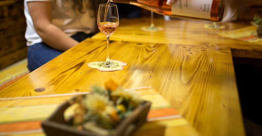 Winetasting with tour through the winery - The tasting, paced by the winemaker’s year and your questions