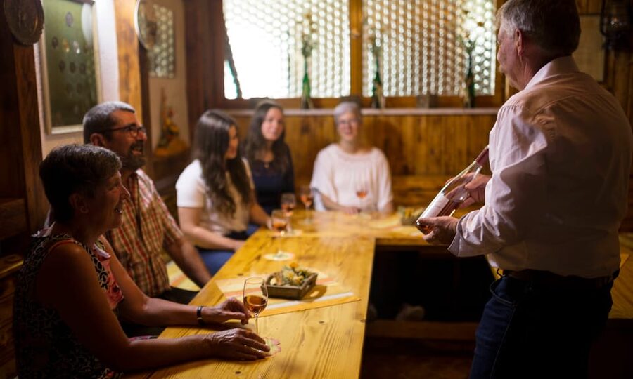 Winetasting with tour through the winery - Understanding the tasting words: what you should listen for
