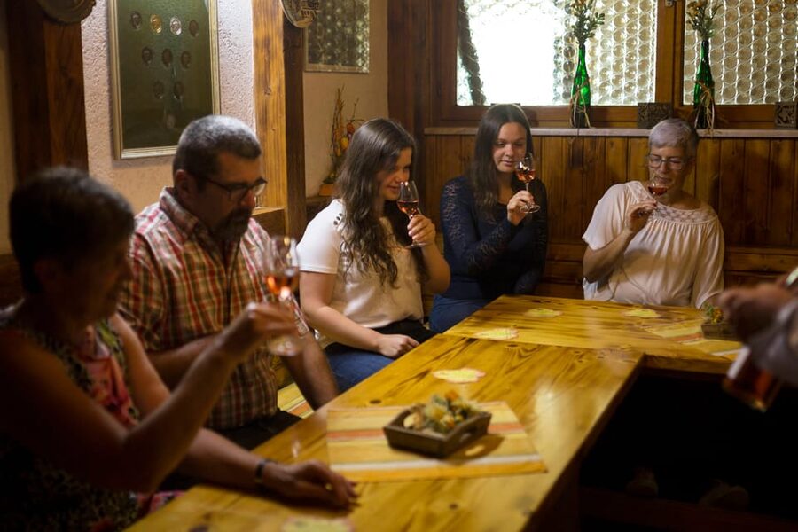 Winetasting with tour through the winery - Value check: why $16 feels fair for this format